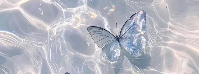 えろ好きさんの壁紙画像