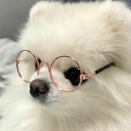 POGさんのアイコン画像