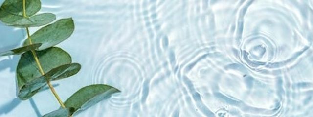氷水さんの壁紙画像
