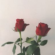 ♡Ri.♡さんのアイコン画像