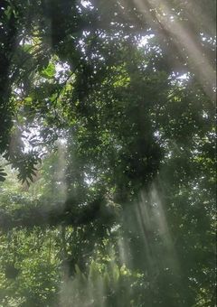 先生 、 振り向いて