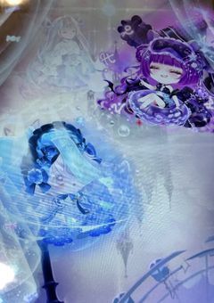 ココロンの写真集
