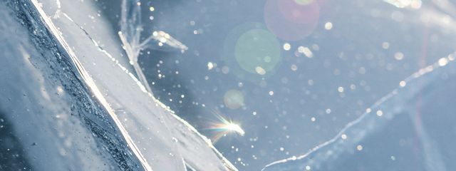 Rioさんの壁紙画像