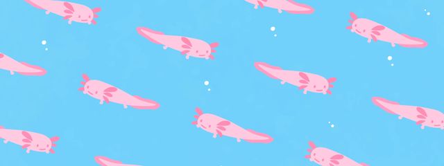 Rさんの壁紙画像