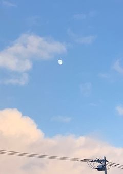 Yui専用。