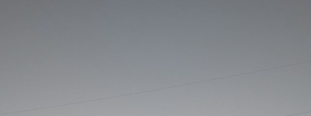 緑茶さんの壁紙画像