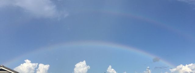 たこ焼き🐙さんの壁紙画像