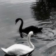 𝓬𝓸𝓬𝓸 さんのアイコン画像