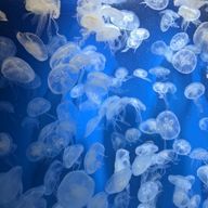 陽菜さんのアイコン画像