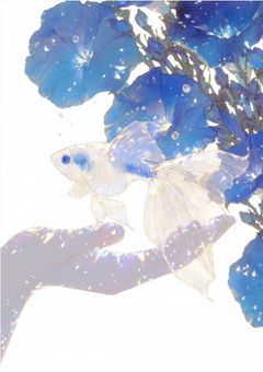 　𝙸𝚗𝚖￤声の欠片