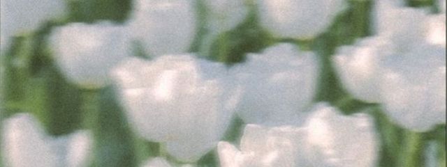 　　  　 ✆さんの壁紙画像