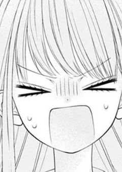 平凡女子高生、何故か義理の兄に好かれてます。