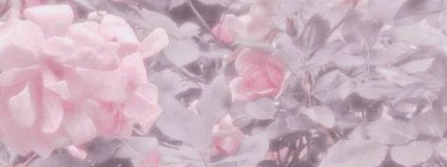 　ま ゆ り こさんの壁紙画像