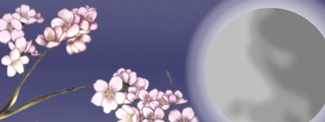 空星 愛菜(転生したよん)さんの壁紙画像