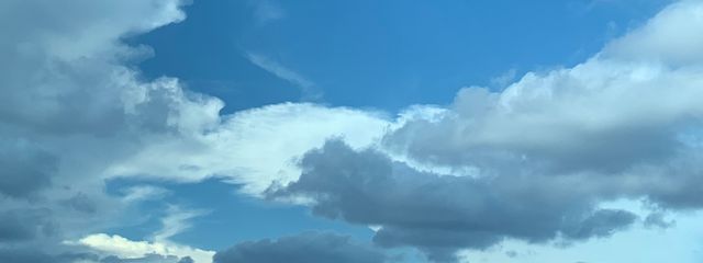 奏さんの壁紙画像