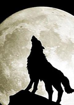 人狼🐺🖤
