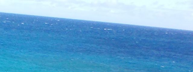 比菜桜樋凛花⭐⚡️さんの壁紙画像