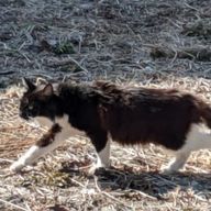 ビーナスさんのアイコン画像