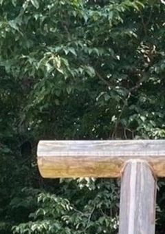 諦めない気持ち