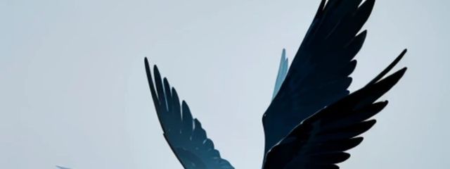 みみ- ̗̀🎧‪𓂃 ︎︎ᕷさんの壁紙画像