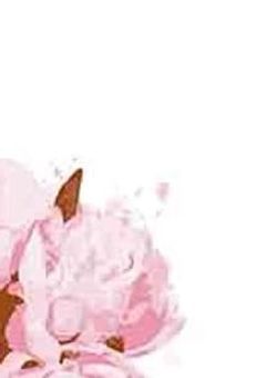 大人気女優は____