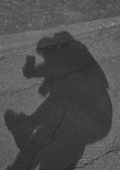 " Sweet and melted "