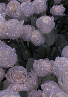 【　引きこもりライバー愛されてる件　】