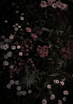 別れ話を切り出したい彼女と別れたくない彼氏⌇kzh