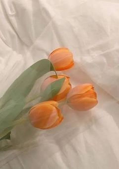 溺 れ る ほ ど の 愛 を あ げ る