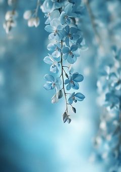 いつか 『散る』 と信じて.