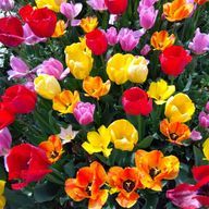 瑠流さんのアイコン画像