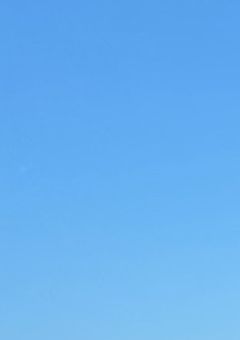 喰らいつけ、狼たちよ。