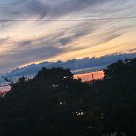 みおみおん♬🌼さんのアイコン画像