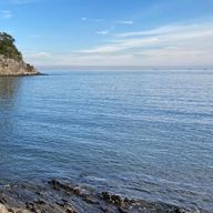 ゆりさんのアイコン画像