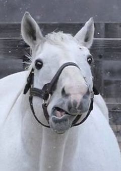 【 劣情書き溜め部屋 】