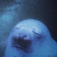 ロロさんのアイコン画像