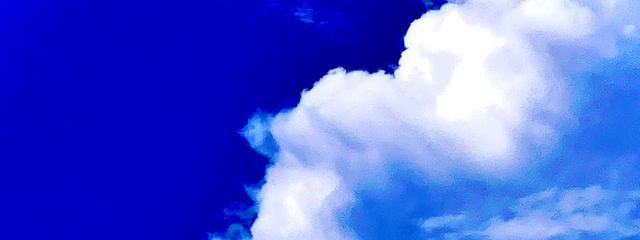 サメさんの壁紙画像