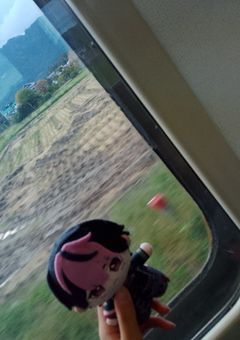 金欠上等！推し活こそ我が人生！～桃くん、今日も最高～