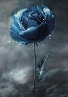 Blue rose blooming事務所