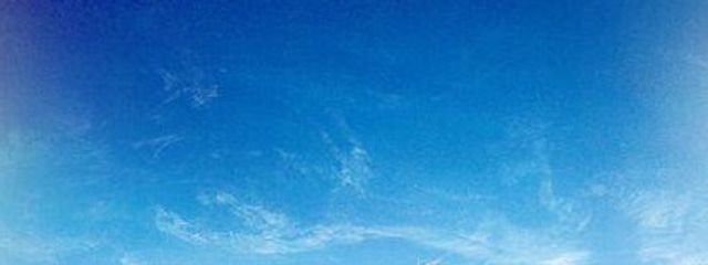 Alice&sameさんの壁紙画像