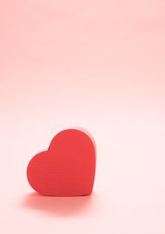 推しからの認知目指して歌い手始めます