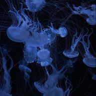 　消　さんのアイコン画像