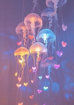 BMSG所属の全員に愛されるお話💖