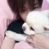 로하야さんのアイコン画像