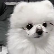 𝙉𝙚𝙭𝙩 ︎ さんのアイコン画像