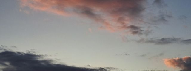 はなさんの壁紙画像