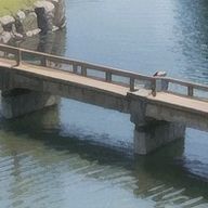 ロミーさんのアイコン画像