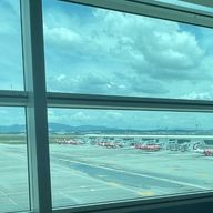 椛さんのアイコン画像