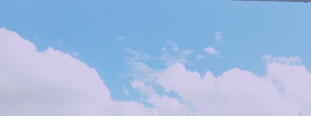 ふふふさんの壁紙画像