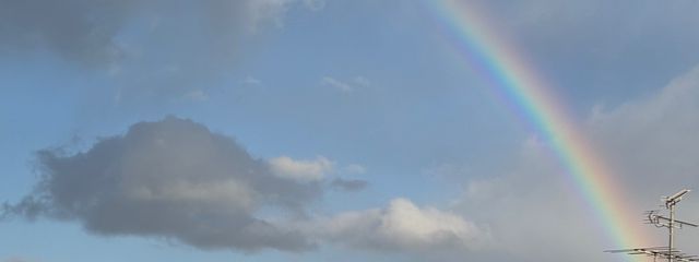 桜栞さんの壁紙画像